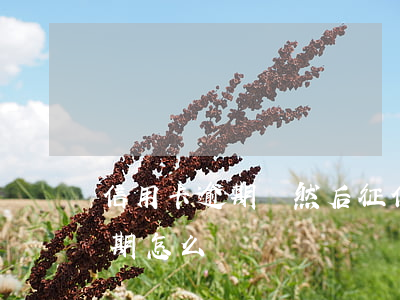 信用卡逾期過然后征信怎么弄好 信信用卡逾期怎么辦