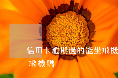 信用卡逾期過的能坐飛機嗎(有過逾期可以坐飛機嗎)