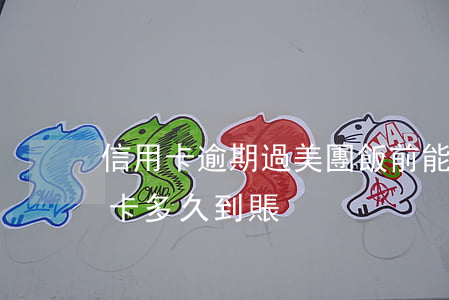 信用卡逾期過美團飯前能借嗎-美團還信用卡多久到賬
