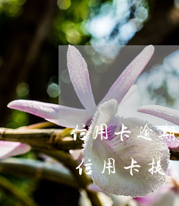 信用卡逾期過能不能提額度(征信有逾期影響信用卡提額嗎)