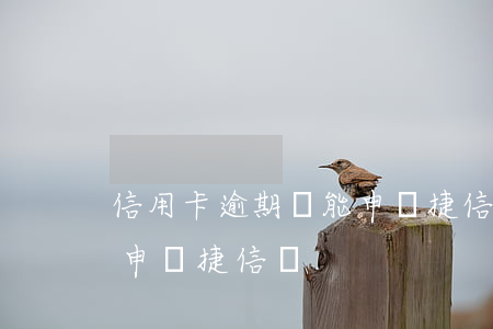 信用卡逾期過能申請捷信嗎(信用卡逾期過能申請捷信嗎)