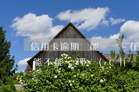 信用卡逾期過能辦嗎-在銀行信用卡逾期,還能不能辦理儲(chǔ)蓄卡