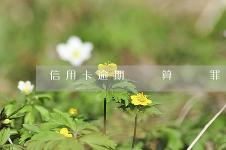 信用卡逾期過萬算詐騙罪嗎(說信用卡逾期詐騙)