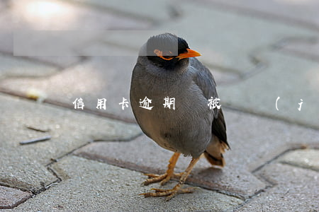 信用卡逾期過被凍結(jié)了