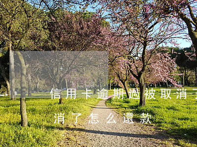 信用卡逾期過被取消了-信用卡逾期過被取消了怎么還款