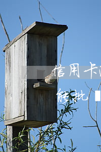 信用卡逾期過車貸能批嗎（信用卡逾期過車貸能批嗎）