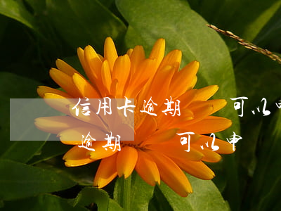 信用卡逾期過還可以申請粵通卡嗎-信用卡逾期過還可以申請粵通卡嗎