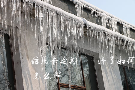 信用卡逾期過還清了如何解凍(逾期的信用卡怎么解凍)
