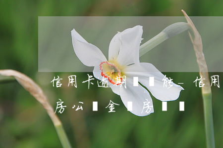 信用卡逾期過還能-信用卡逾期過還能用住房公積金辦房貸嗎