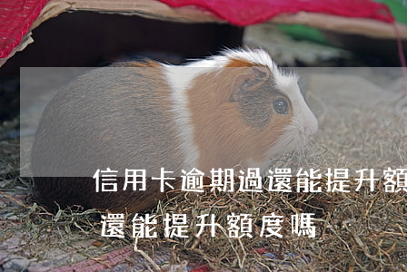 信用卡逾期過還能提升額度嗎 信用卡逾期過還能提升額度嗎