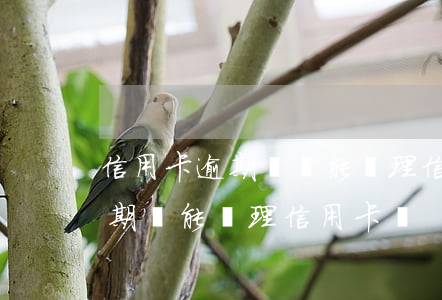 信用卡逾期過還能辦理信用卡嗎-信用卡逾期還能辦理信用卡嗎?