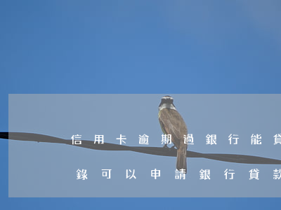 信用卡逾期過銀行能貸款么(有信用卡逾期記錄可以申請銀行貸款嗎)