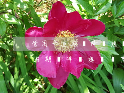 信用卡逾期過降額想長額度怎么辦-信用卡逾期過降額想長額度怎么辦理