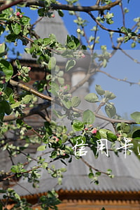信用卡逾期達(dá)到什么條件會被起訴