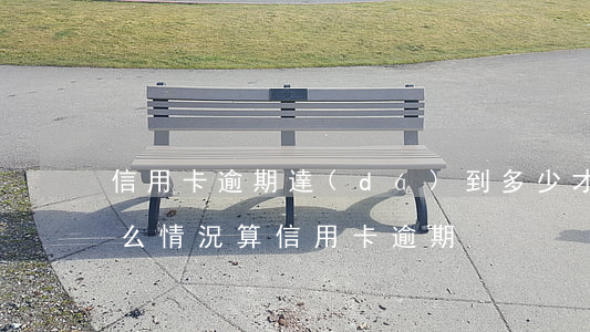 信用卡逾期達(dá)到多少才可以立案(什么情況算信用卡逾期)