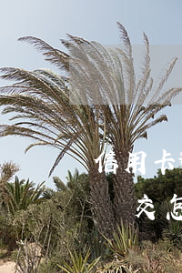 信用卡逾期違交怎么處罰工商-信用卡逾期違交怎么處罰工商