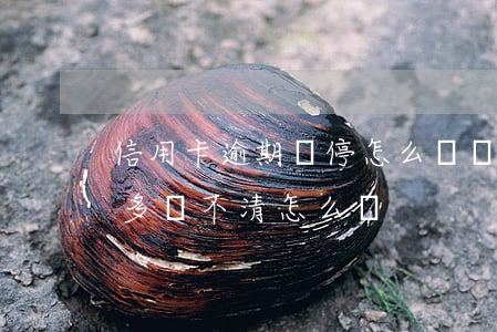 信用卡逾期違停怎么處罰(信用卡逾期罰款太多還不清怎么辦)