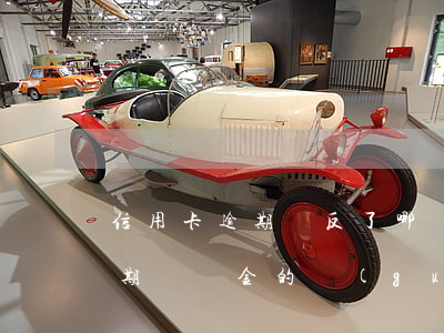 信用卡逾期違反了哪條法律(法律對信用卡逾期違約金的規(guī)定)