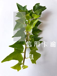 信用卡逾期違款怎么處罰(信用卡逾期怎么罰息)