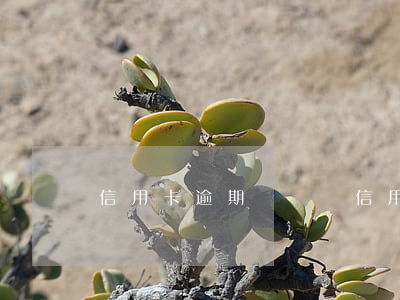 信用卡逾期 違約費(信用卡逾期 違約費是多少)