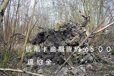 信用卡逾期違約金5000多-信用卡逾期違約金