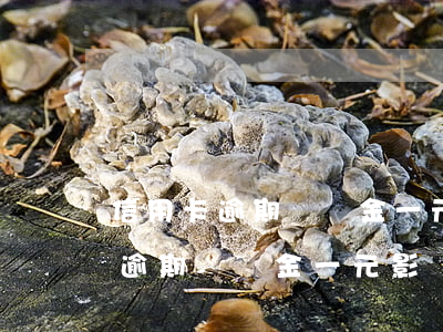 信用卡逾期違約金一元影響征信嗎-信用卡逾期違約金一元影響征信嗎知乎