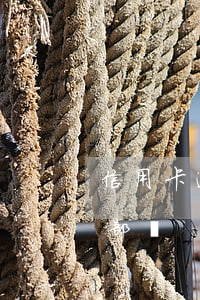 信用卡逾期違約金（信用卡逾期一次就交催法部嗎）
