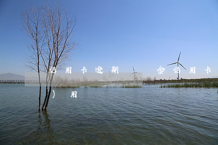 信用卡逾期違約金（信用卡逾期交費(fèi)用嗎）