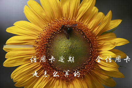 信用卡逾期違約金(信用卡逾期違約金和利息是怎么算的)