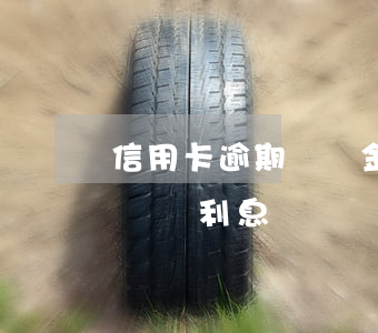 信用卡逾期違約金利息約滾越多 逾期利息和違約利息