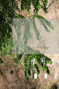 信用卡逾期違約金利息高怎么辦(信用卡逾期違約金利息高怎么辦呢)