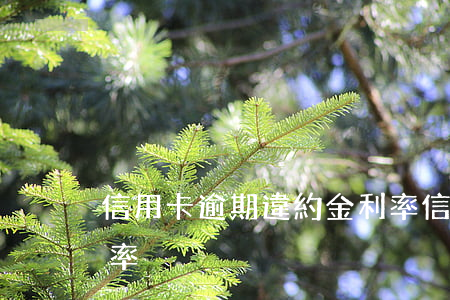 信用卡逾期違約金利率(信用卡逾期違約金利率)
