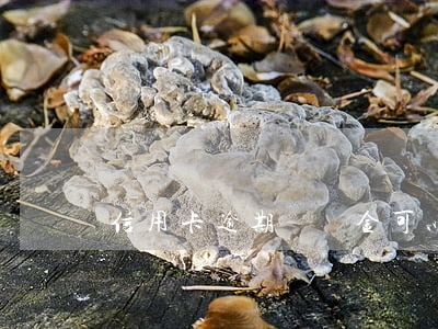信用卡逾期違約金可以免嗎