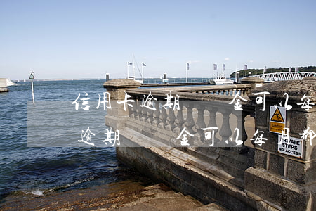 信用卡逾期違約金可以每月都收嗎-信用卡逾期違約金可以每月都收嗎合法嗎
