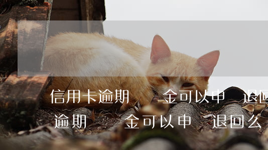 信用卡逾期違約金可以申請退回么-信用卡逾期違約金可以申請退回么嗎