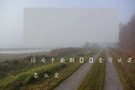 信用卡逾期違約金可以退嗎(逾期退款違約金怎么定)