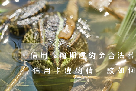 信用卡逾期違約金合法(若出現(xiàn)信用卡違約情況,該如何處理)