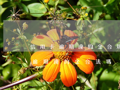 信用卡逾期違約金合規(guī)嗎(信用卡逾期違約金合法嗎)