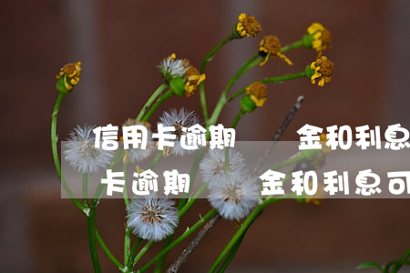 信用卡逾期違約金和利息可以減免嗎-信用卡逾期違約金和利息可以減免嗎?