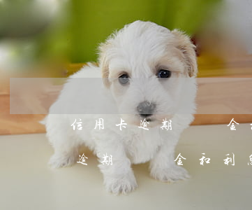 信用卡逾期違約金和利息怎么收取-信用卡逾期違約金和利息怎么收取合法