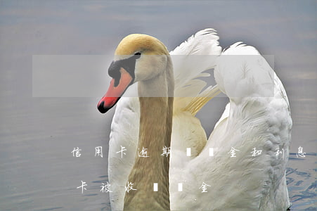 信用卡逾期違約金和利息返還-忘記還信用卡被收違約金