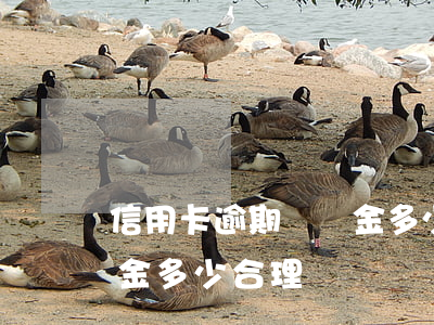 信用卡逾期違約金多少合理(信用卡逾期違約金多少合理)