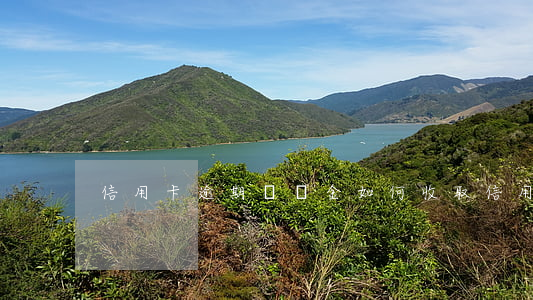 信用卡逾期違約金如何收取(信用卡 逾期 費用)