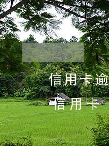 信用卡逾期違約金如何解決(如何處理逾期的信用卡)
