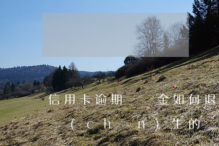 信用卡逾期違約金如何退回(信用卡逾期一天產(chǎn)生的違約金可以撤回嗎)