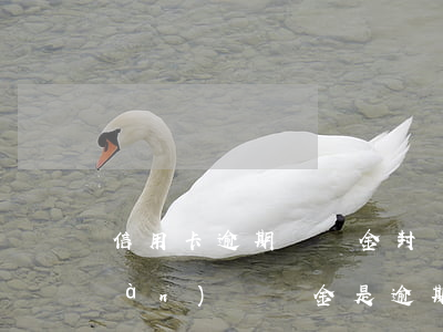 信用卡逾期違約金封頂嗎(信用卡出現(xiàn)違約金是逾期了嗎)