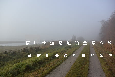 信用卡逾期違約金怎么和銀行協(xié)商（信用卡逾期違約金怎么和銀行協(xié)商）