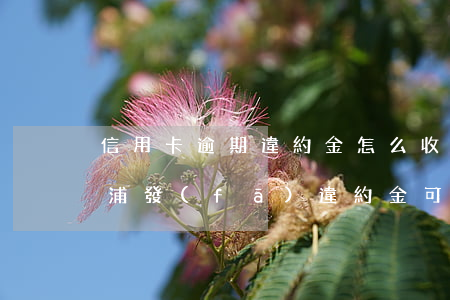 信用卡逾期違約金怎么收取浦發(fā)-浦發(fā)違約金可以去掉嗎