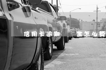信用卡逾期違約金怎么算(信用卡逾期違約金)
