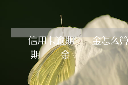 信用卡逾期違約金怎么算按天收取(信用卡逾期違約金)